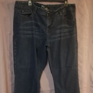 Torrid Source of Wisdom Jean's size 22